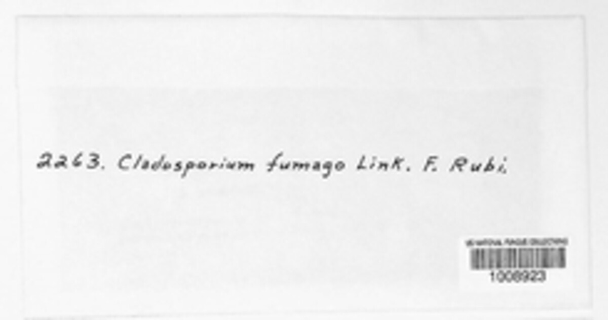 Cladosporium fumago image